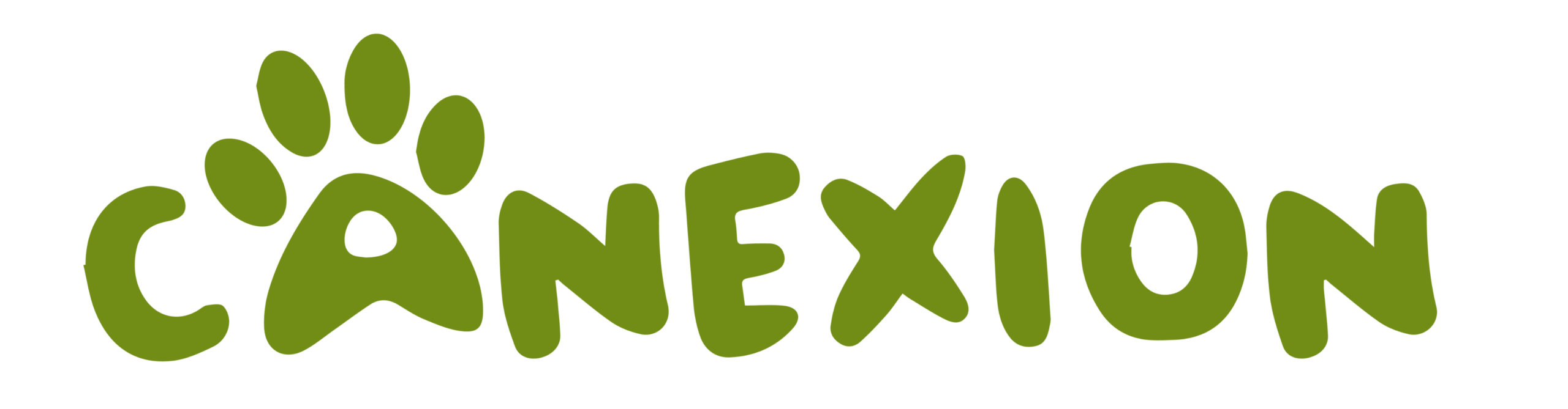 Canexión Logo
